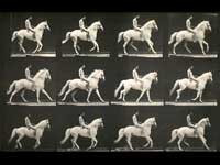 Fotografia: frasi celebri