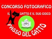 CONCORSO FOTOGRAFICO gratuito a Passogatto, “Il gatto e il suo gioco”